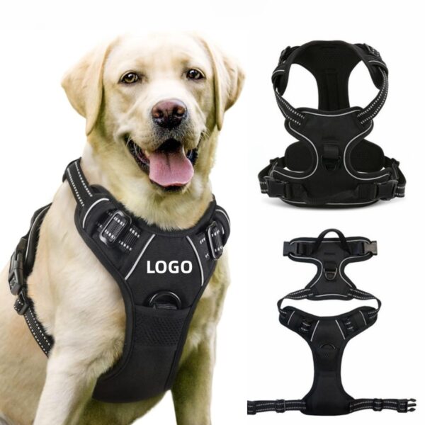 GA6020---No-Pull Pet Dog Harness With 2 Leash Clips