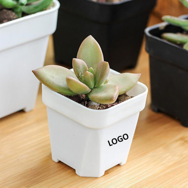 GA1314---Plastic Indoor Flower Pot - Image 3