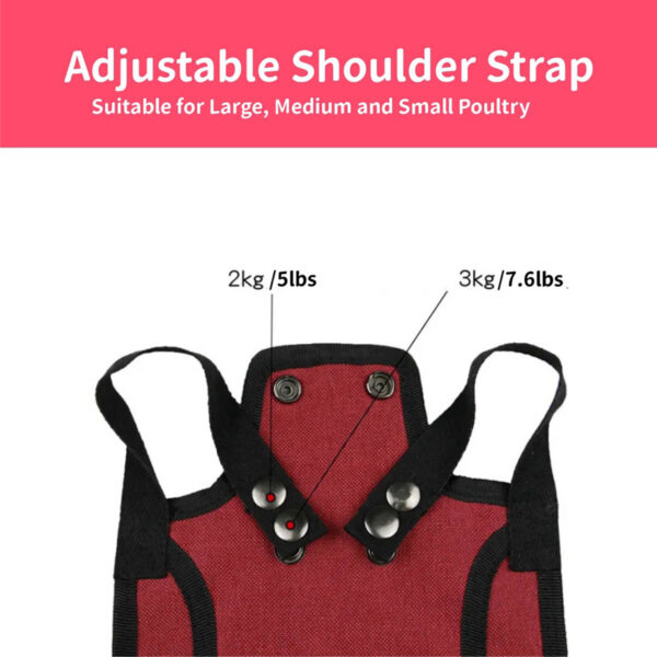 GA1278---Chicken Saddles With Stretchy Strap - Image 3