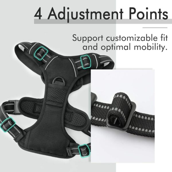 GA6020---No-Pull Pet Dog Harness With 2 Leash Clips - Image 4