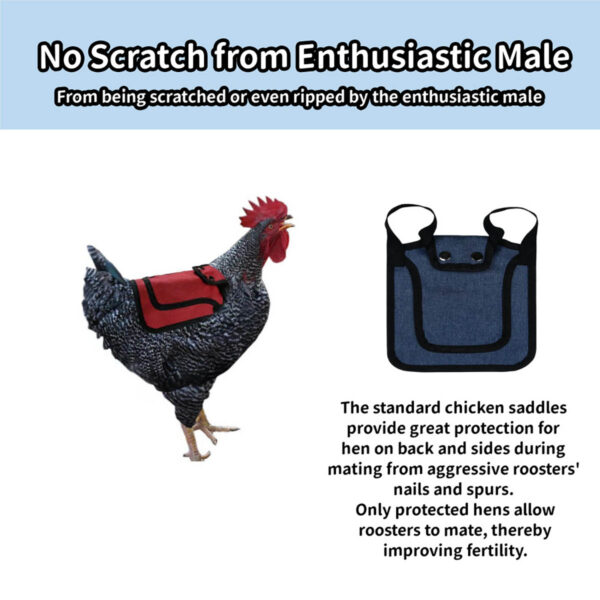 GA1278---Chicken Saddles With Stretchy Strap - Image 4