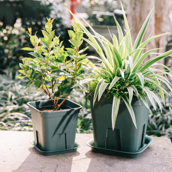 GA1473---Plastic Plants Nursery Pot - Image 4